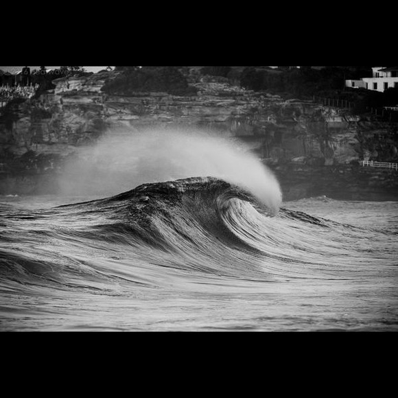 Meet your Posher, Jeffrey - Picture 1 of 1